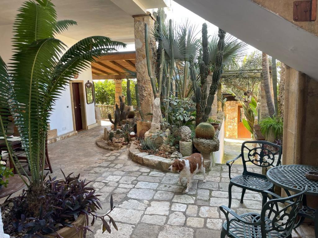 Felline In Bed&Breakfast Exterior foto